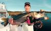 Snook on fly.jpg